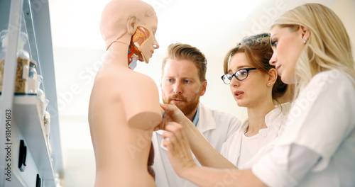 Students of medicine examining anatomical model in classroom