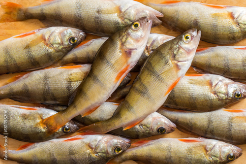 Fresh fish. Fresh river fish perch. On a yellow wooden background. Top view
