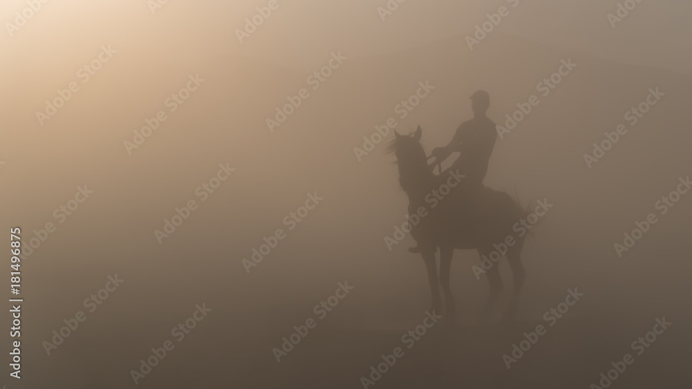Man on a horse silhouette standing in dust