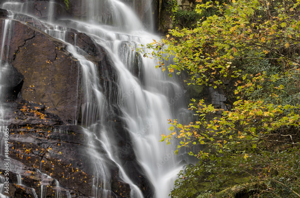 Fototapeta premium Waterfall