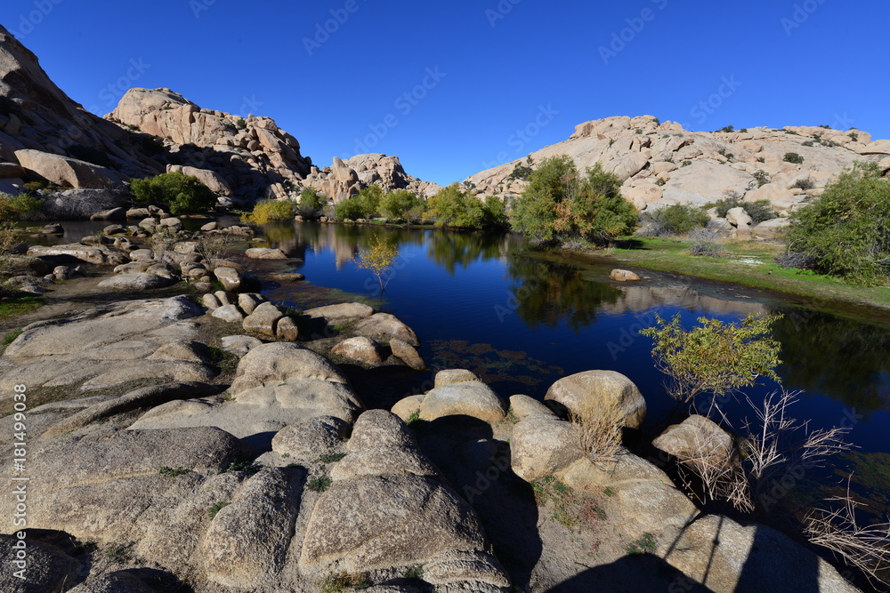 The Dam at the Joshua Tree National park