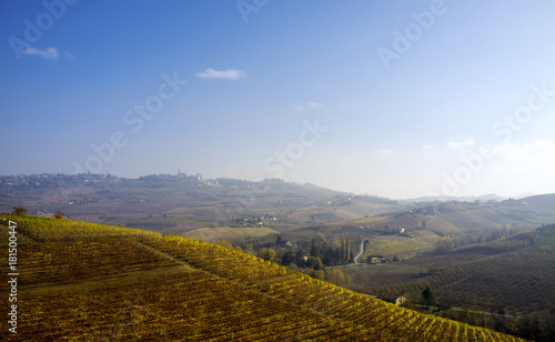 Langhe hills autumn panorama. Color image