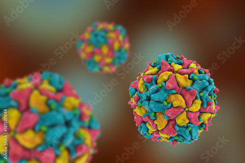 Poliovirus, 3D illustration. The virus transmitted by water and causes poliomyelitis