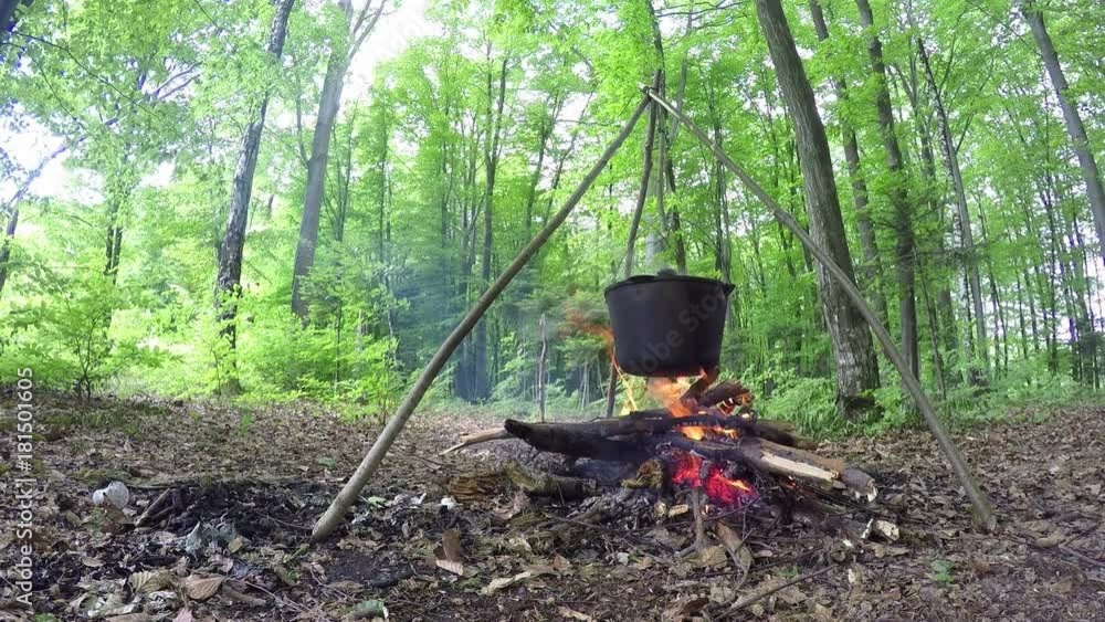 Camp fire on green forest Camp fire on green forest