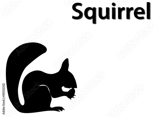 Black silhouette of squirrel eating nut on white background. Wild animal, vector, eps 10