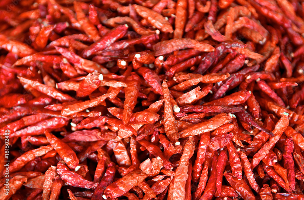 Dried chili peppers background. Many red hot pigments chile wallpaper, the combined or pile. Thai food seasoning. Close up and macro.... Dried chili peppers background. Many red hot pigments chile wallpaper, the combined or pile. Thai food seasoning. Close up and macro....