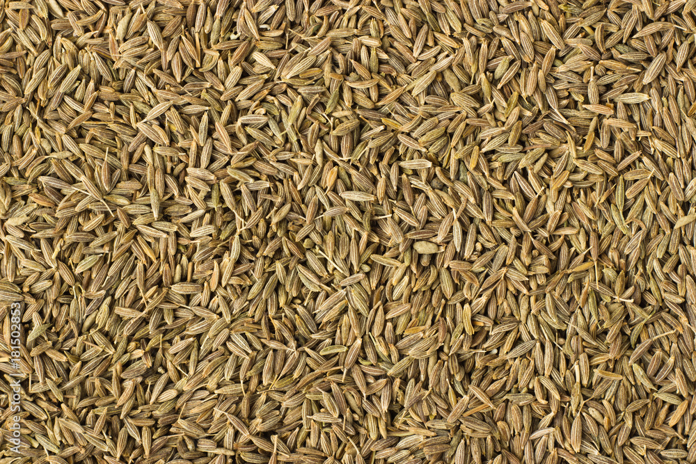 zira spice as a background, natural seasoning texture zira spice as a background, natural seasoning texture
