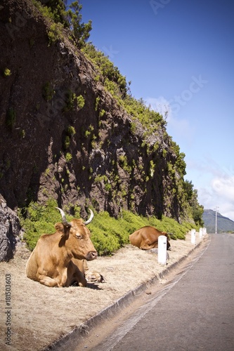 Fototapeta Naklejka Na Ścianę i Meble -  High life