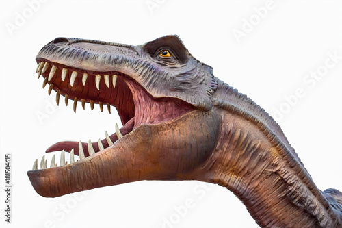 Tyrannosaurus Rex, Dinosaur, Animal Head, Animal Teeth, One Animal © weera