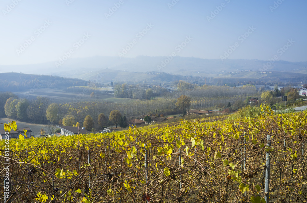 Grinzane Cavour (Piedmont, Italy): the Barolo vineyards autumn. Color image