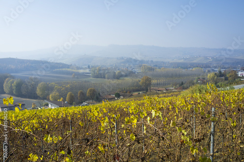 Grinzane Cavour  Piedmont  Italy   the Barolo vineyards autumn. Color image