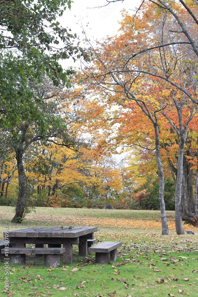 公園のテーブルと紅葉 公園のテーブルと紅葉