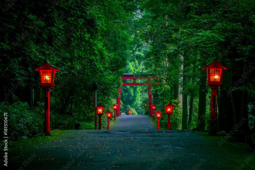 Obraz premium The night view of the approach to the Hakone shrine in a cedar forest. With many red lantern lighted up and a great red torii gate