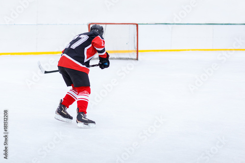 Ice hockey skater with stick on rink.