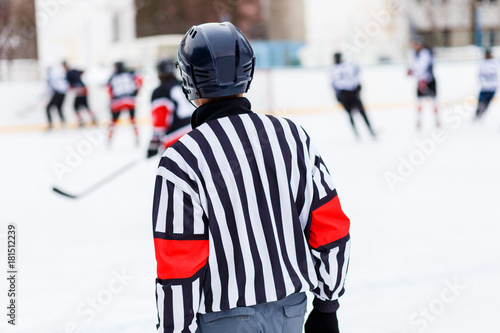 Referee on rink on ice hockey game.