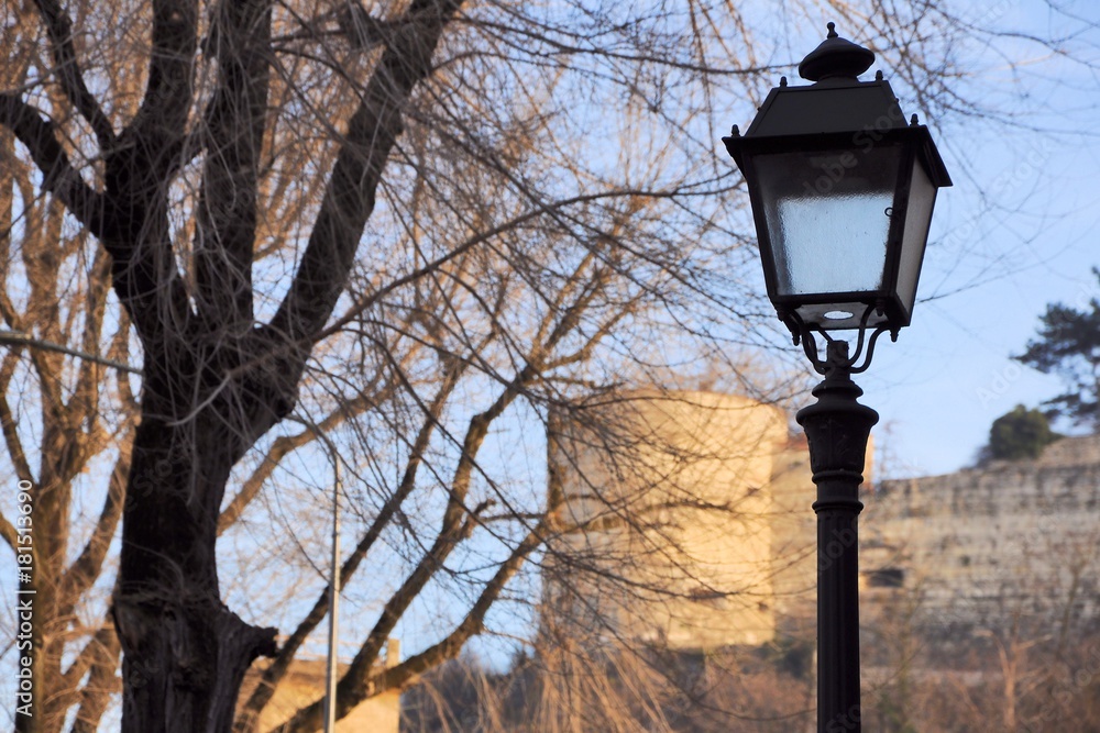 old street lamp on bare trees. Selective focus. old street lamp on bare trees. Selective focus.