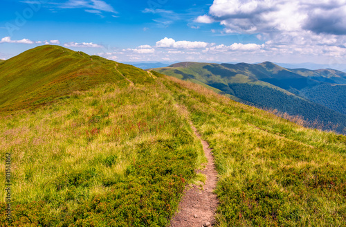 path on top of Carpathian mountain ridge © Pellinni
