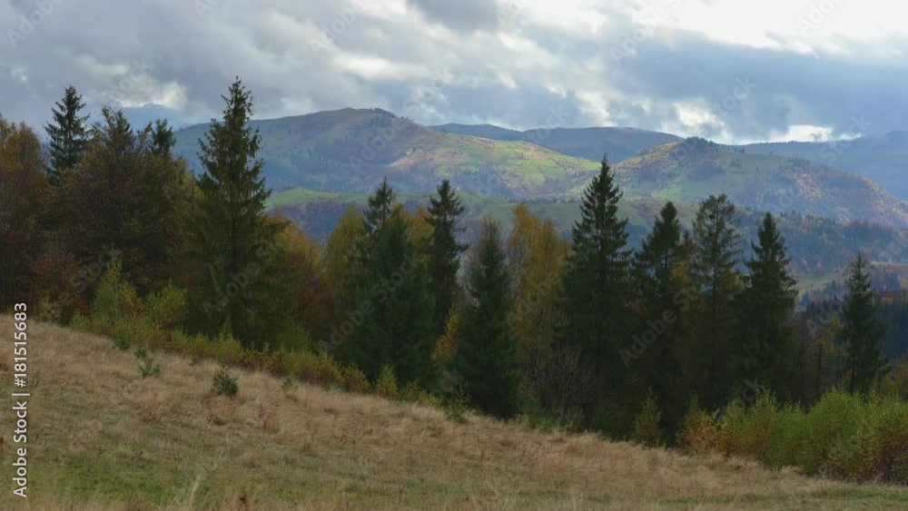 Beauty fog in carpathian mountaine Beauty fog in carpathian mountaine