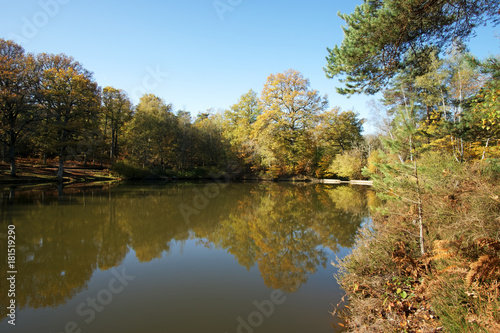 étang rompu pond in Rambouillet forest © hassan bensliman