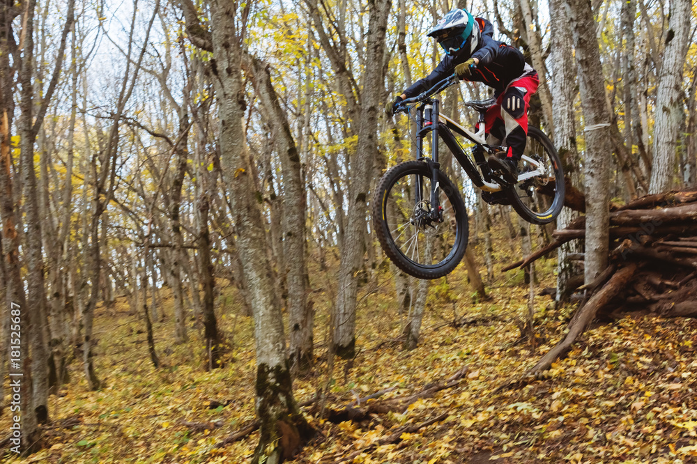 a young rider at the wheel of his mountain bike makes a trick in jumping on the springboard of the downhill mountain path in the autumn forest a young rider at the wheel of his mountain bike makes a trick in jumping on the springboard of the downhill mountain path in the autumn forest