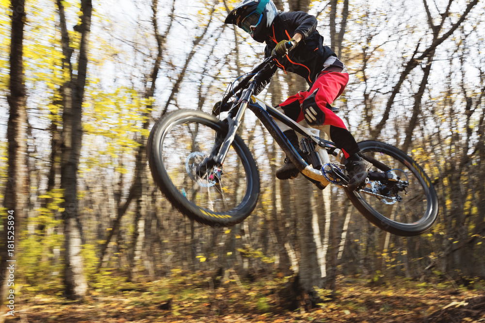 a young rider at the wheel of his mountain bike makes a trick in jumping on the springboard of the downhill mountain path in the autumn forest