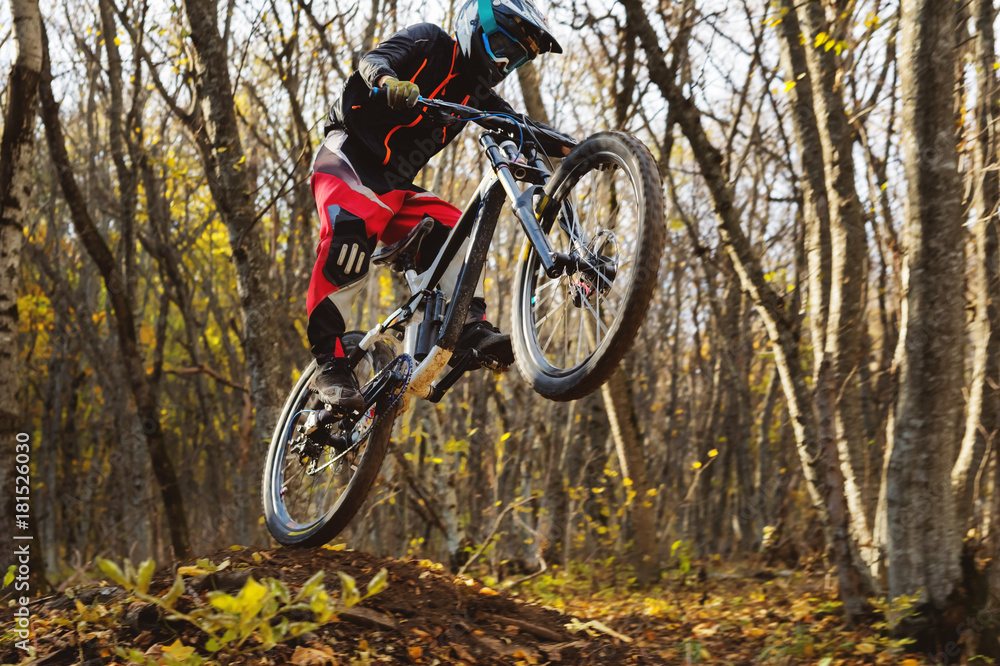 a young rider at the wheel of his mountain bike makes a trick in jumping on the springboard of the downhill mountain path in the autumn forest