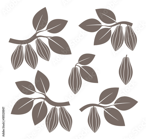 Cocoa set. Isolated cocoa on white background