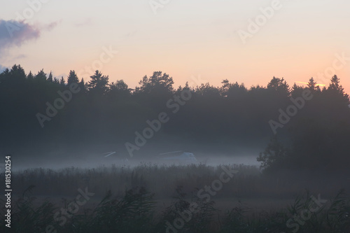 Helicopters in a misty field