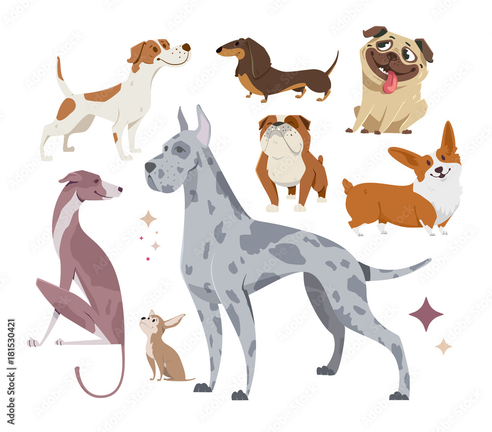 Vector illustration, set of funny purebred dogs