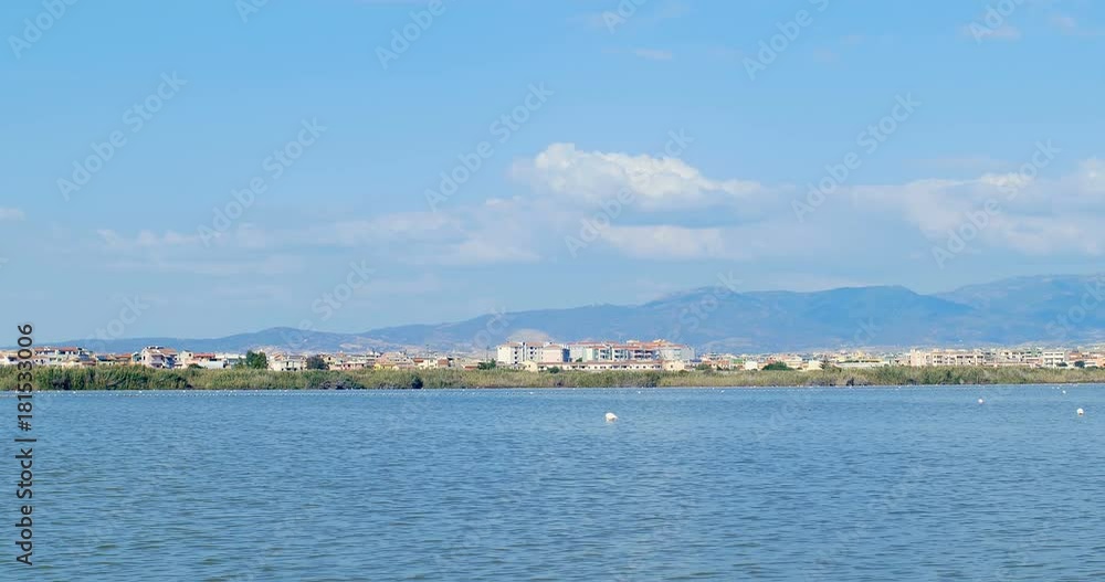Pink flamingos eating, in front of the city of Cagliari, Sardinia, Italy. Pink flamingos eating, in front of the city of Cagliari, Sardinia, Italy.