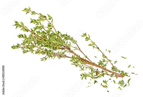 Sprig of thyme isolated on a white background