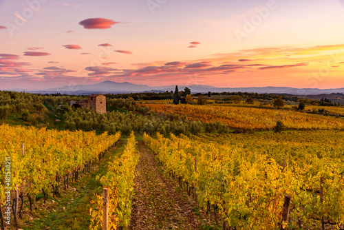 Panoramic view of the Chianti region in Tuscany, Italy. with an abandoned farmhouse. Autumn season.