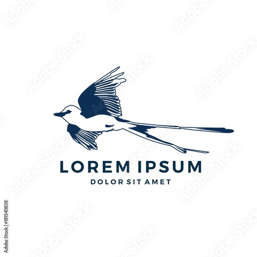 scissor bird flycatcher logo vector download