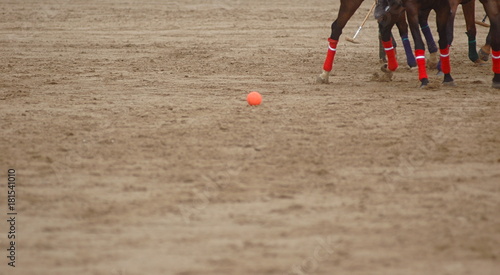 match polo