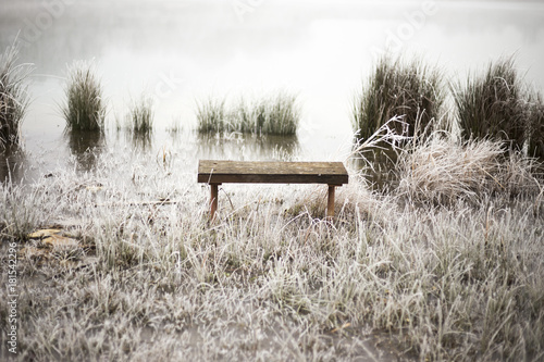 Frosty fog in forest lake winter snow