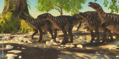 Fototapeta Naklejka Na Ścianę i Meble -  Iguanodon Dinosaurs - Iguanodon herbivorous dinosaurs lived during the Cretaceous Period of Europe and walked with a herd of animals.