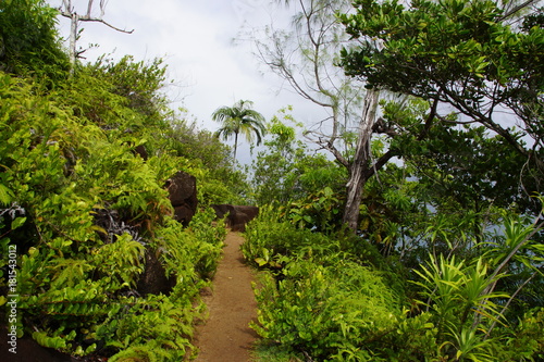 Wunderschöne grüne Landschaft auf den Seychellen
