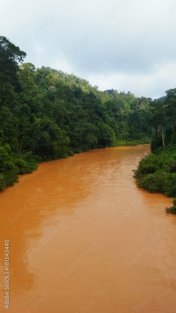 Río en la selva mas antigua del mundo