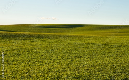 Campo Ondulado  Cultivado de Cereal en Oto  o