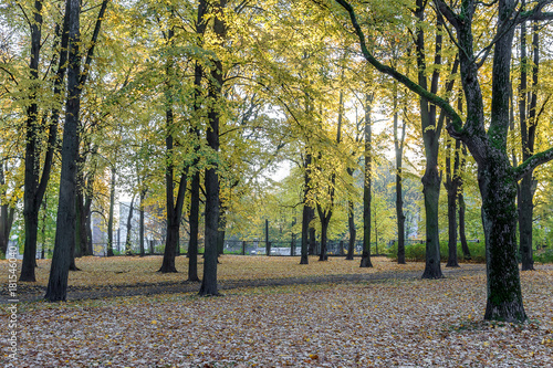 Fragment of the city park in the fall