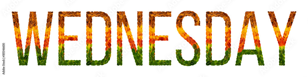 custom made wallpaper toronto digitalword wednesday written with leaves white isolated background, banner for printing, creative illustration of colored leaves.