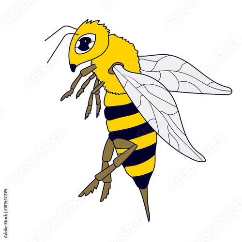 Bee. Vector isolated image. The character of the insect. The professional image.