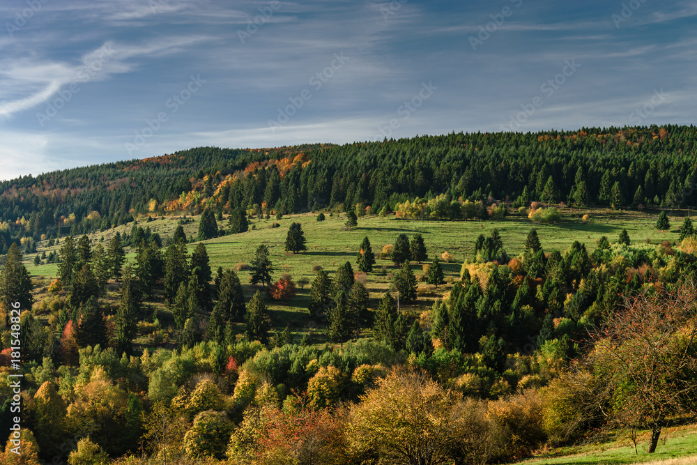Colorful autumnal forests in Alsace, France