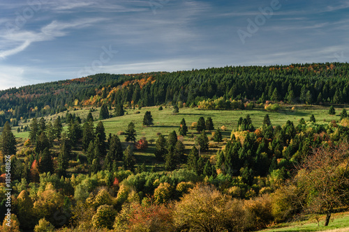 Colorful autumnal forests in Alsace  France