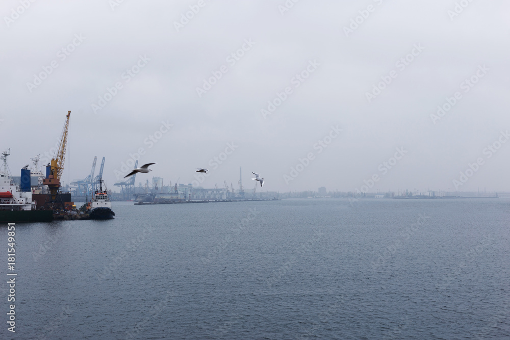 Seaport with ships and seagulls in cloudy and hazy weather