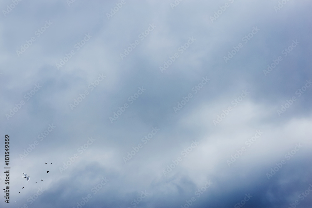 Cloudy sky with seagull and pigeons in hazy weather Cloudy sky with seagull and pigeons in hazy weather