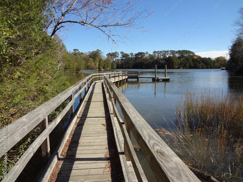 Fototapeta premium bridge