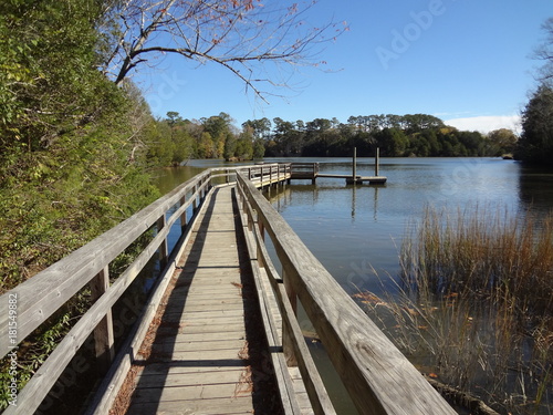 bridge © Fransuat