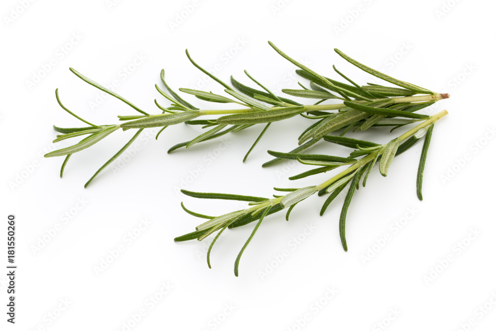 Rosemary isolated on white background, Top view. Rosemary isolated on white background, Top view.