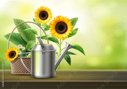 Watering can and sunflowers